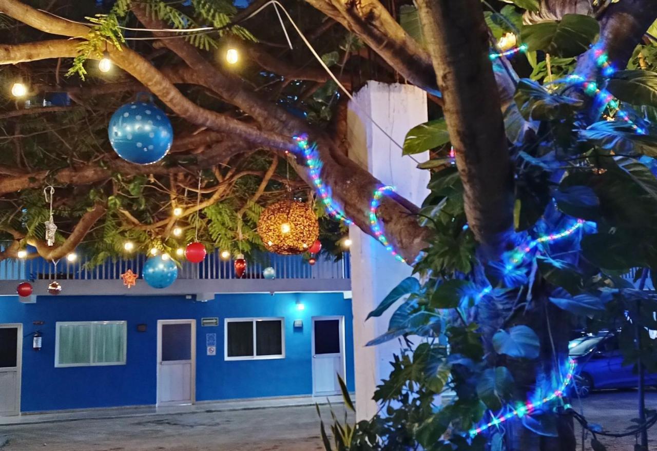 Blue Coconut Cancun Hotel Exterior foto