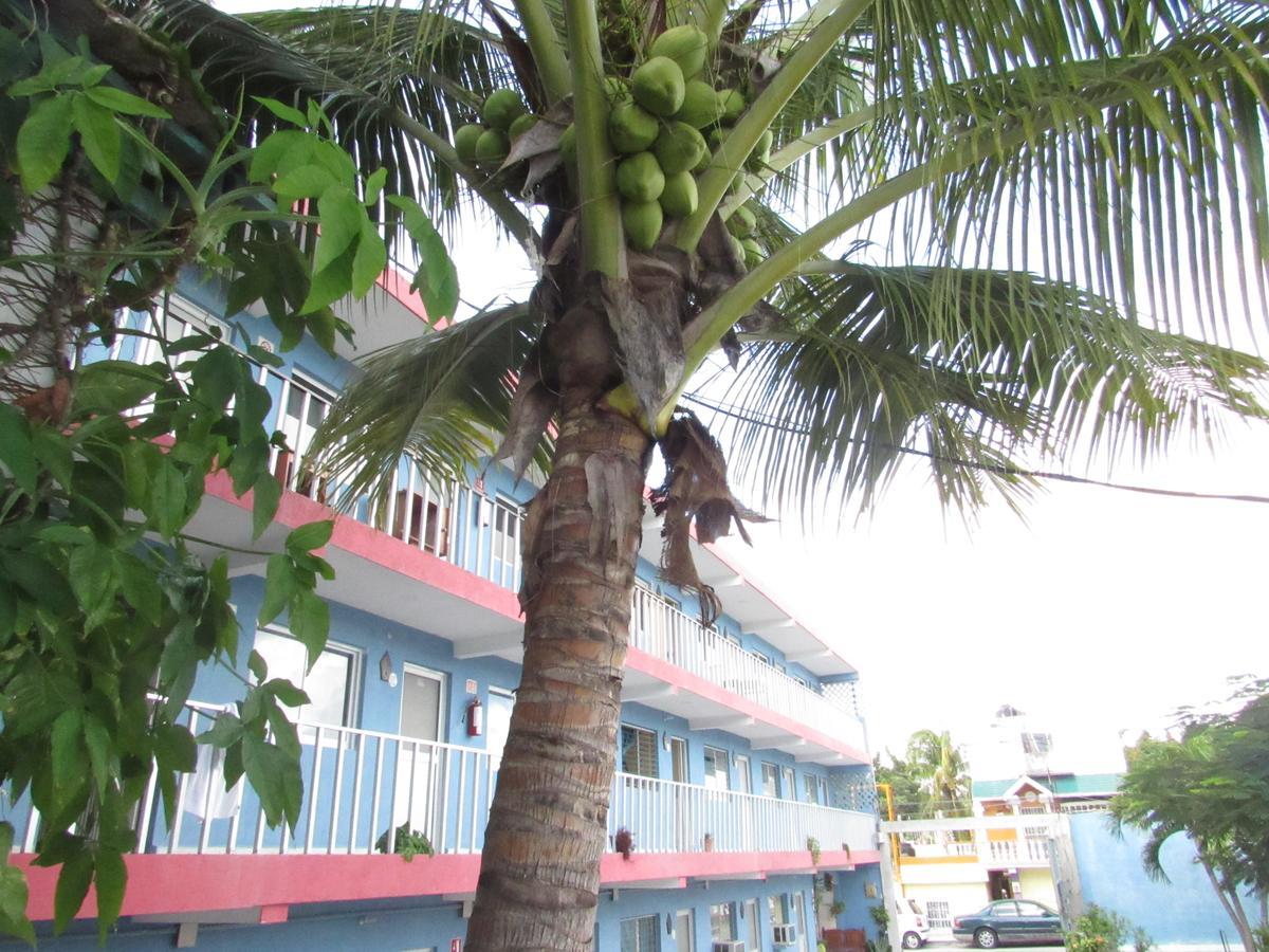 Blue Coconut Cancun Hotel Exterior foto